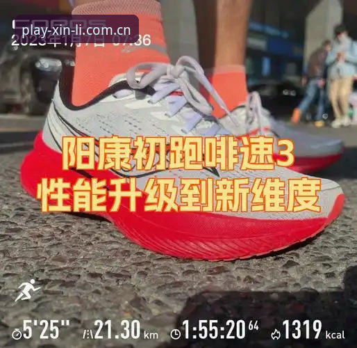 资深用户亲测分享：新利体育官网一站式体验与实战心得